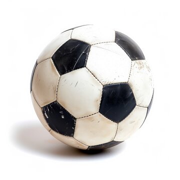 FIFA世俱杯现场球迷热情
